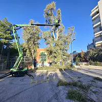 Leguan 190 Υβριδικό Καλαθοφόρο - Ερπιστριοφόρο - Master