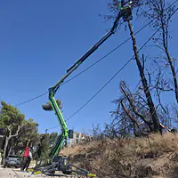 Leguan 190 Υβριδικό Καλαθοφόρο - Ερπιστριοφόρο - Master