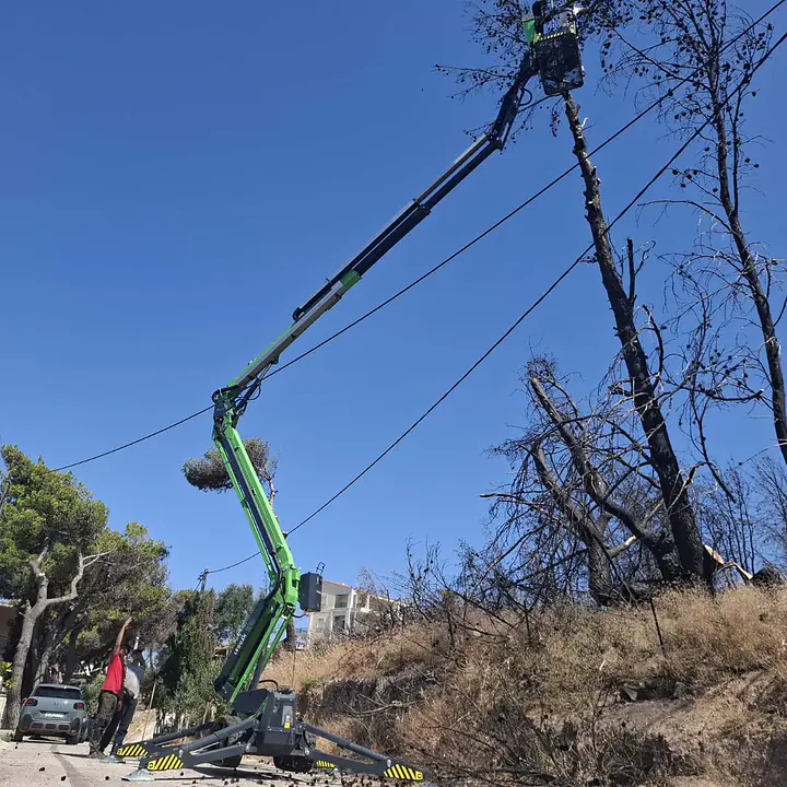 Leguan 190 Υβριδικό Καλαθοφόρο - Ερπιστριοφόρο - Master