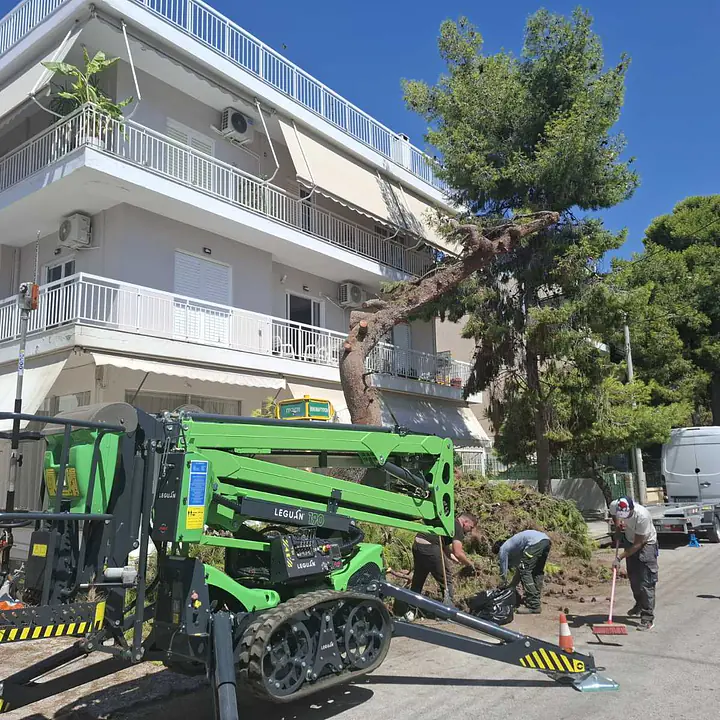 Leguan 190 Υβριδικό Καλαθοφόρο - Ερπιστριοφόρο - Master