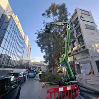 Leguan 190 Υβριδικό Καλαθοφόρο - Ερπιστριοφόρο - Master